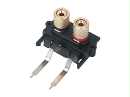 WP2-29B