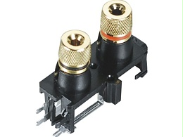 WP2-29C