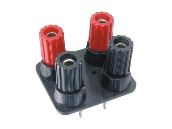 WP4-11B