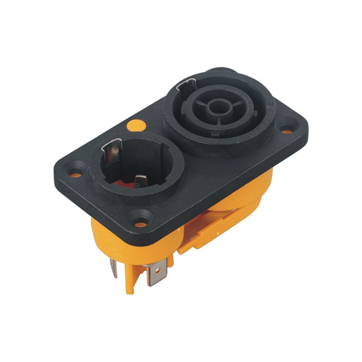 SPE-31.jpg