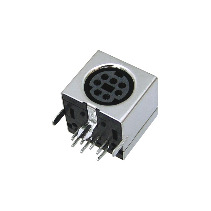 PLE3-05M.jpg
